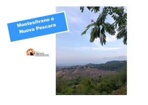 "Verità oltre gli slogan". Comitato Montesilvano per Nuova Pescara chiede accesso agli atti.