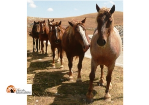 300 mila euro a Regione Abruzzo per il turismo esperienziale