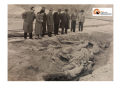 Mammut, eventi di celebrazione del 70° anniversario dal ritrovamento dello scheletro fossile