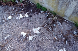 foto siringhe, una scena che sembra riportare indietro la società agli anni '80