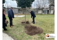 Pescara. Intitolato ad Alessandro D’Alberto il campo-lanci dello stadio Adriatico