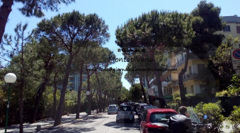 Pescara/taglio alberi. Archeoclub vuole: regolamento tutela verde. Melilla, "fermarsi"