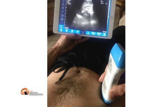 Da Paganica donazione importante per l'Asl L'Aquila 1.