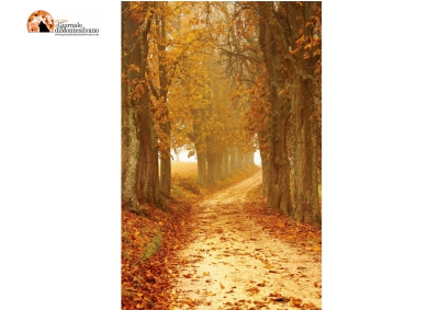 Crecchio. Foliage d'Abruzzo. Vini, sapori e colori del territorio