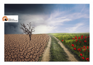 Si insedia l’intergruppo parlamentare sui cambiamenti climatici