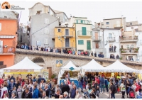 16esima edizione di "Tornareccio Regina di Miele"