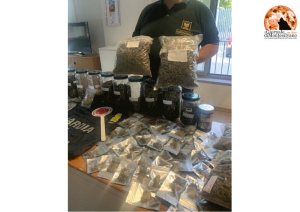 Montesilvano, sequestrati 4 kg di marijuana in un'abitazione.