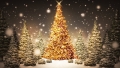 Pianella. Calendario degli eventi di Natale tra mostre e brindisi