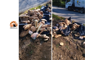 Pane abbandonato per strada in quantità. L'indignazione del Sindaco di Fossacesia: "vergognoso".