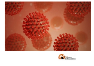 Abruzzo/Covid19. 25 casi positivi in più, anche bambino di 1 anno.