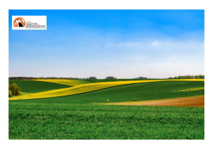 Abruzzo agricoltura. Manutenzione di 300km e 13 mln di lavori su viabilità forestale