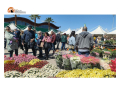 Piante, fiori e meraviglie botaniche: torna a Pescara la Mostra del Fiore-Florviva