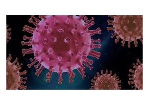 Abruzzo/Covid19. 69 nuovi casi su 7mila test, sono 10196 gli attualmente positivi.