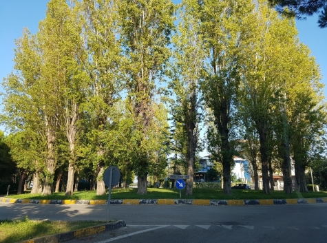 Giulianova, Annunziata dice no al cannone alla rotonda