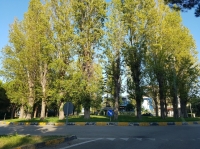 Giulianova, Annunziata dice no al cannone alla rotonda