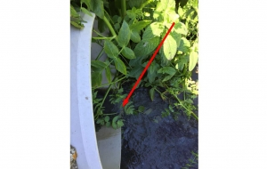 lo scarico del pozzo nero che scarica direttamente nel canale