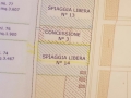Giulianova/spiagge. Al mare con il proprio amico a 4 zampe.