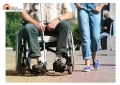 Montesilvano. Domande per il rimborso spese trasporto disabili: avviso