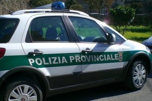 Pescara/Sansificio. Controlli Polizia Provinciale “non risultano attività recenti”