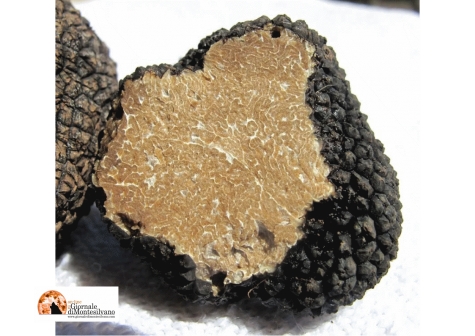 Abruzzo: Imprudente, per tartufo pregiato 900mila euro di finanziamento a 35 imprese