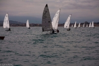 Gara di Vela