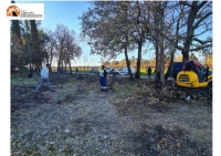Rocca San Giovanni, amministrazione, associazioni e cittadini ripuliscono la Pinetina di Vallevò