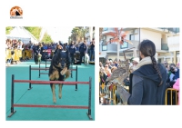 Pet Pride a Pescara con cani, gatti, furetti... Piazza Salotto a misura di animale