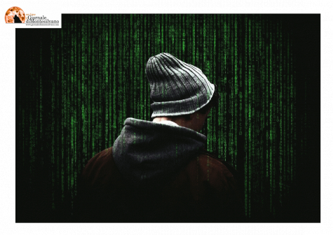 Brescia- Austin. Operazione internazionale criminalità informatica: personal computer infettati da Raccoon Infostealer