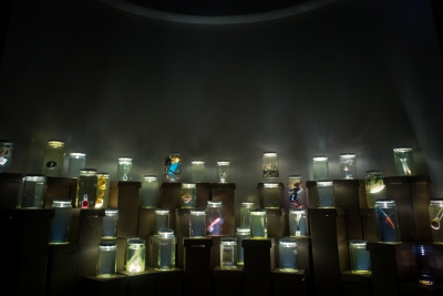 "Monere: sono solo mostri", installazioni artistiche a Pescara
