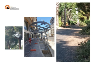Far legna d'estate ovvero la mattanza degli alberi pescaresi.