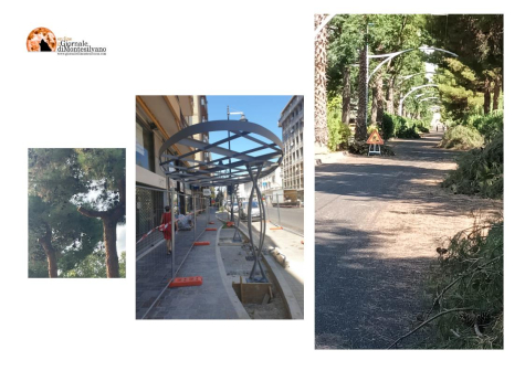 Far legna d'estate ovvero la mattanza degli alberi pescaresi.