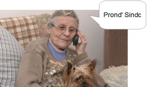 Montesilvano. No al servizio segnalazione whatsapp, Cilli “si potrebbe cominciare gradualmente”