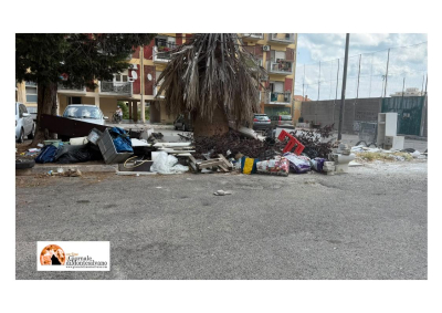 foto tratta del report di Di Pillo di 70 scatti