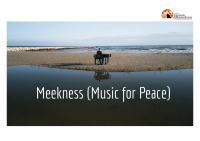 Simone Pavone. Meekness - Music for Peace