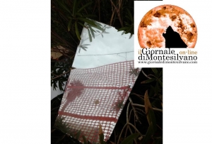 Lo specchio di Stella Maris