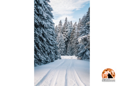 Nevicate anche lungo la fascia costiera nel fine settimana