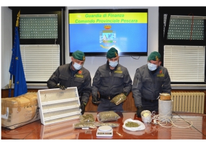 Montesilvano. Operazione da oltre 1kg di marijuana: trovata serra domestica