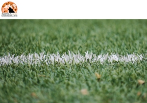 Teramo Calcio, Sindacato dei Giornalisti e USSI: silenzio stampa, auspicabile ritorno a rispetto reciproco