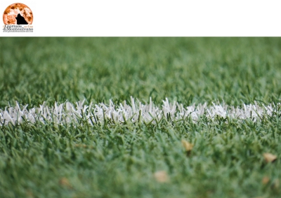 Teramo Calcio, Sindacato dei Giornalisti e USSI: silenzio stampa, auspicabile ritorno a rispetto reciproco