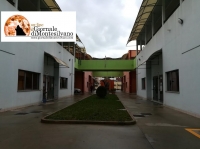 Montesilvano, rimborsi per trasporto disabili