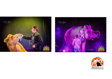 Avezzano, arriva Maya Orfei Circo Madagascar