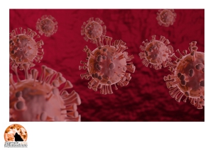 Coronavirus in Abruzzo. I guariti superano i nuovi casi positivi