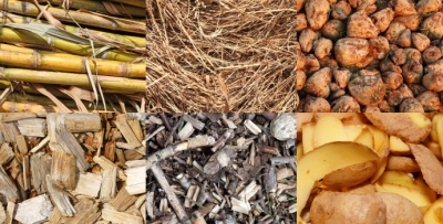Progetto Biomasse energia rinnovabile