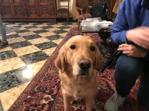 durante conferenza in sala giunta ieri