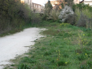Pianella/piano alienazioni. "No alla svendita area parcheggio"