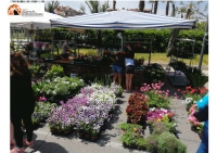 “Montesilvano Expo Giardino” sul lungomare