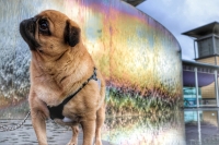 Racconti brevi: Ti sento.