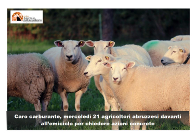 Caro gasolio e prezzi, gli agricoltori delle 4 province torneranno davanti a Palazzo dell’Emiciclo