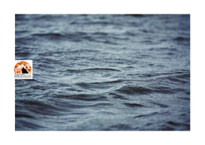 Annega in mare a Pescara, aveva 12 anni.