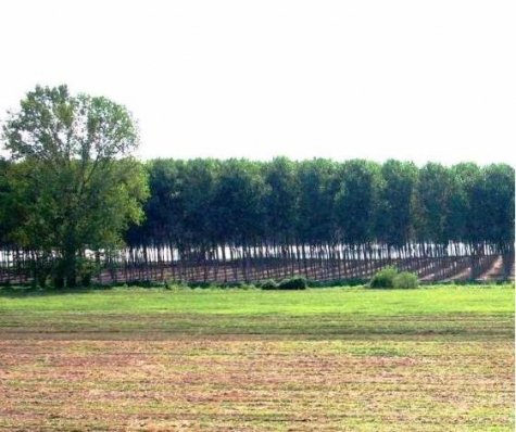 Agricoltura. 630 ettari occasione di lavoro per under 40